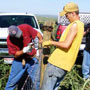 Crow Creek Community