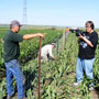 Crow Creek Community