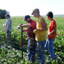 Crow Creek Cemetary Restoration