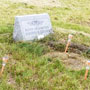 Crow Creek Community