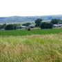 Crow Creek Community