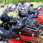 ironhorse