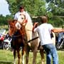 ironhorse